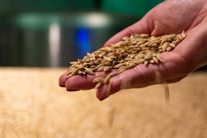 A welcome move: On the free grains scheme under food security law